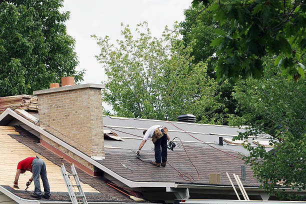 Best Roof Moss and Algae Removal  in Leavenworth, KS
